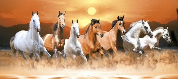 디지털 벽 타일 - 300 x 450mm(12 x 18인치) - Seven Horse -Digital Poster Wall Tile 300x450mm -8057