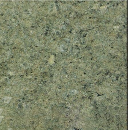 Yuexi Leopard Green Granite