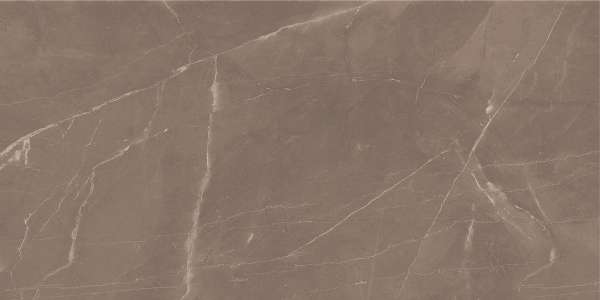 Glazed Porcelain Tiles - 600 x 1200 mm ( 24 x 48 inch ) - armani-brown-1