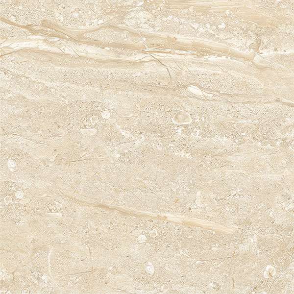 Glazed Porcelain Tiles - 600 x 600 mm ( 24 x 24 inch ) - svpl-2005-1