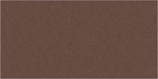 磁器 タイル - 600 x 1200 mm（24 x 48インチ） - GENESIS BROWN_POLISH_600X1200