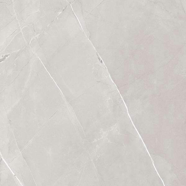 Glazed Porcelain Tiles - 600 x 600 mm ( 24 x 24 inch ) - PAROS GREY R1