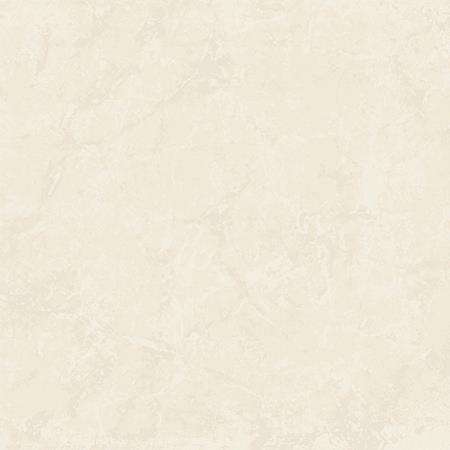 Floor Porcelain Tiles - 600 x 600 mm ( 24 x 24 inch ) - 121-TAJ 