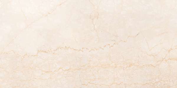 Glazed Porcelain Tiles - 600 x 1200 mm ( 24 x 48 inch ) - BRISSBAN BOTTICINO_01