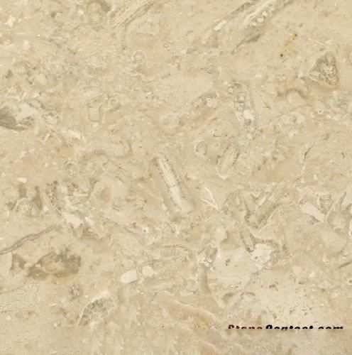 Limassol Limestone