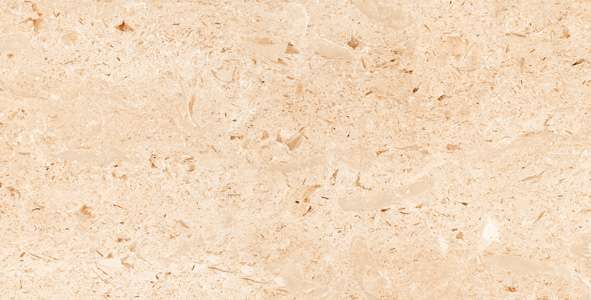 carrelage porcelanosa - 600 x 1200 mm ( 24 x 48 pouces ) - ERMANO BROWN R1