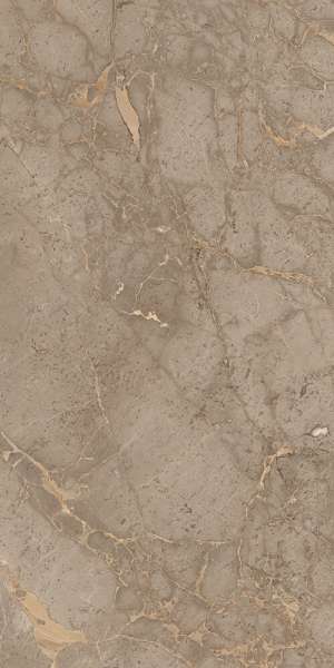 Glazed Porcelain Tiles - 600 x 1200 mm ( 24 x 48 inch ) - CELIO-BROWN-P1 (1)