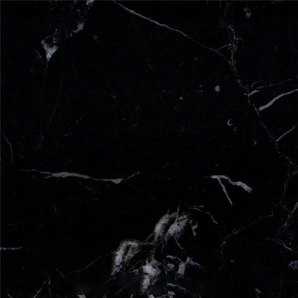 Elegant Black Marble