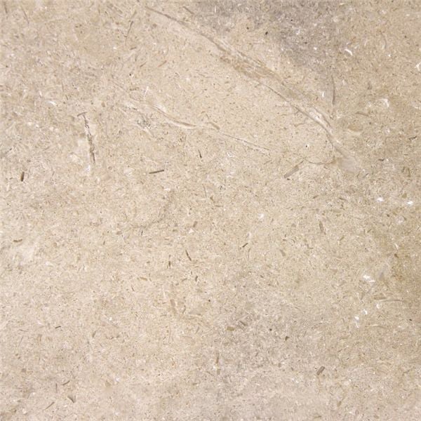 Dover Shell Limestone