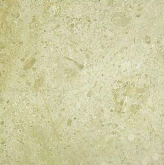 Chocolate Oman Limestone