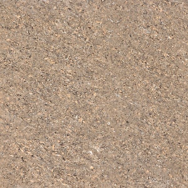 Double agbara Vitrified Tiles - 600 x 600 mm (24 x 24 inch) - ALMOND_01