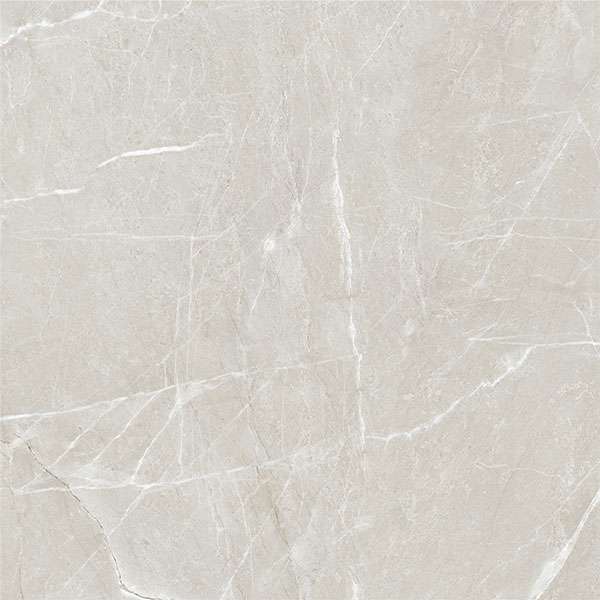 pavimento gres porcellanato - 600 x 600 mm (24 x 24 pollici) - anima-gris