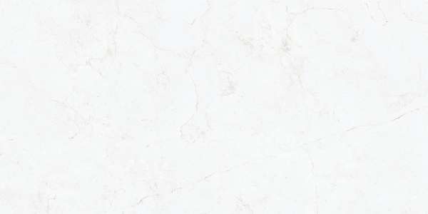 PGVT & GVT - 600 x 1200 mm (24 x 48 inch) - ATENEA-BIANCO-1