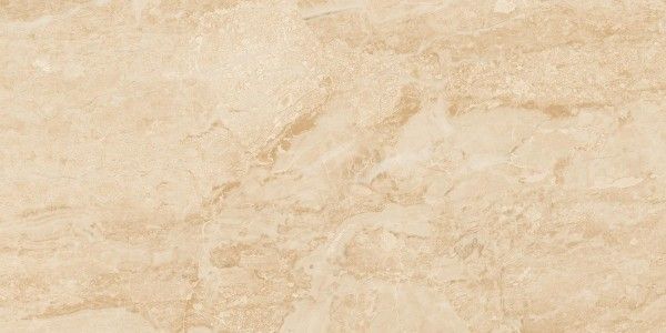 Glazed Porcelain Tiles - 600 x 1200 mm ( 24 x 48 inch ) - Dyna Classic