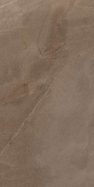 Glazed Porcelain Tiles - 600 x 1200 mm ( 24 x 48 inch ) - ALINA-MOCHA-R1