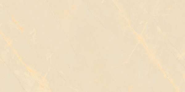 rajoles de porcellana vidriada - 600 x 1200 mm (24 x 48 polzades) - GRANDE VALOR ARMANI BEIGE