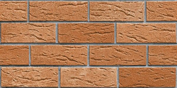 Exterior / Elevation Tiles - 300 x 600 mm ( 12 x 24 inch ) - 7155-P1