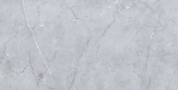 Glazed Porcelain Tiles - 300 x 600 mm ( 12 x 24 inch ) - OLYMPIC GRY_R1