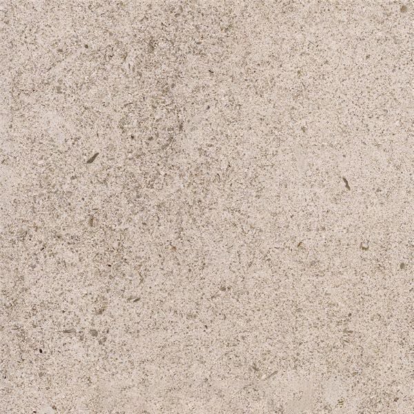 Magny Limestone