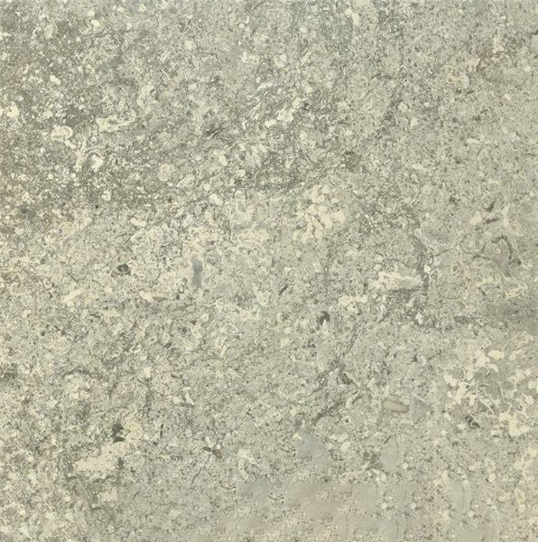 Transylvania V Gray Limestone