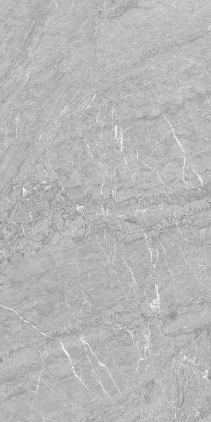 PGVT i GVT - 600x1200mm (24x48 cali) - CARNICO GRIS_01