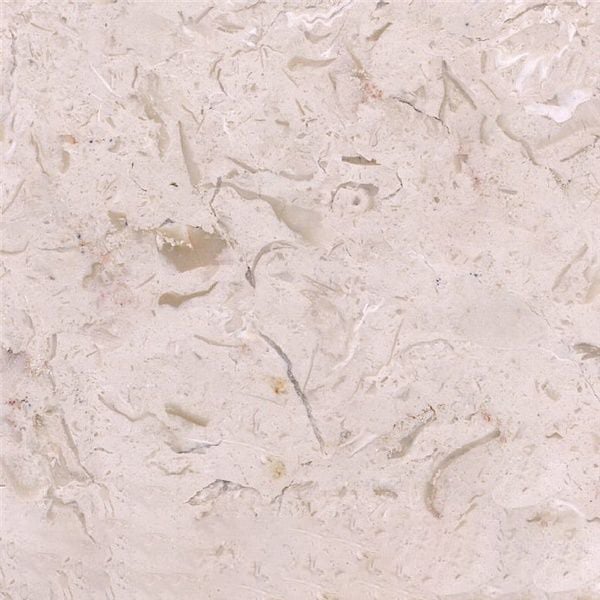 Shelly Beige Marble