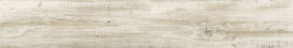 pavimento effetto legno - 200 x 1200 mm (08 x 48 pollici) - FLORESTA_ARCTIC-B