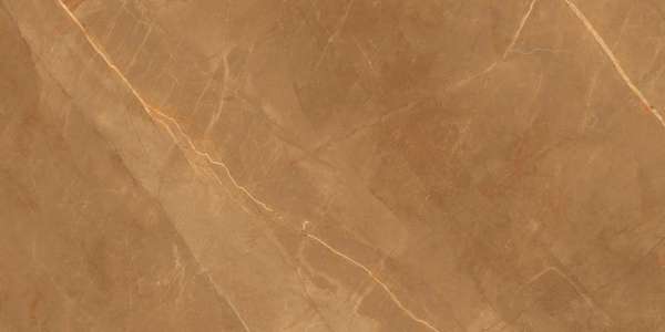 carrelage porcelanosa - 600 x 1200 mm ( 24 x 48 pouces ) - GRANDE VALOR LUCIDO ARMANI BROWN