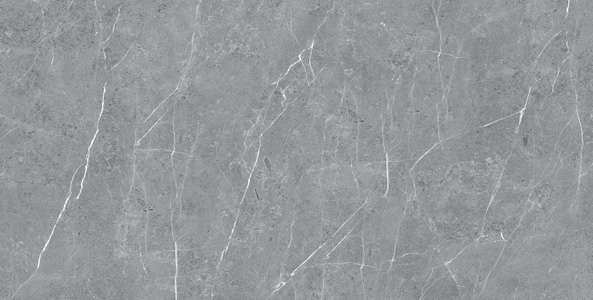 पीजीवीटी और जीवीटी टाइल्स - 600 x 1200 मिमी (24 x 48 इंच) - IBERICO GREY R1