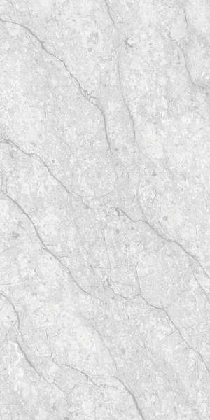 Glazed Porcelain Tiles - 600 x 1200 mm ( 24 x 48 inch ) - BARLINE GREY_01