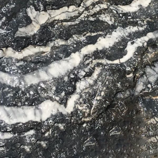 Orbicular Black Marble