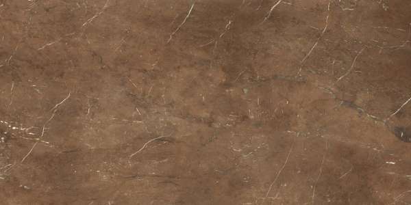 porselen fayans - 600 x 1200 mm ( 24 x 48 inç ) - GRANDE VALOR LUCIDO PULPIS BRONZE