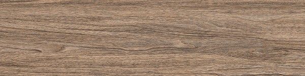 pavimento gres porcellanato - 300 x 1200 mm (12 x 48 pollici) - SAHARA HONEY-R1