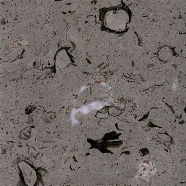 Grey Fossil Marble