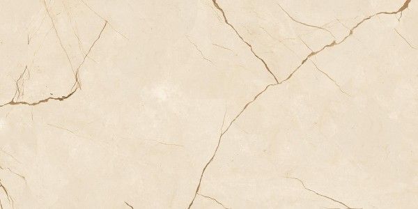 Glazed Porcelain Tiles - 600 x 1200 mm ( 24 x 48 inch ) - Carve Marmi