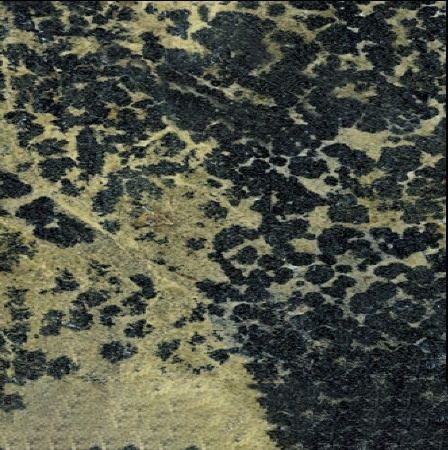 Persian Green Granite