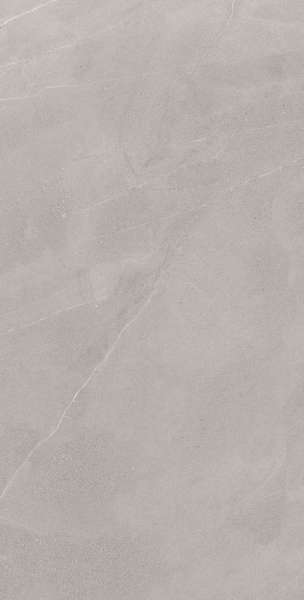 PGVT i GVT - 600x1200mm (24x48 cali) - ALINA-SLATE-R1