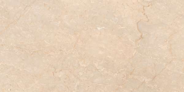 Glazed Porcelain Tiles - 600 x 1200 mm ( 24 x 48 inch ) - ANTIQUE BOTTICINO BROWN_01