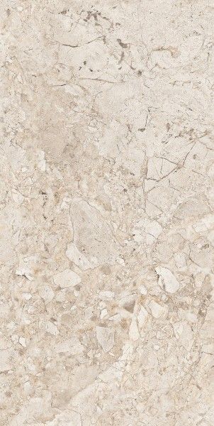 Glazed Porcelain Tiles - 600 x 1200 mm ( 24 x 48 inch ) - HARMONY DURANGO[1]