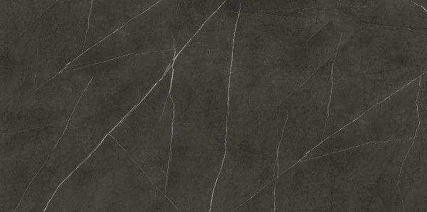 Llosa de porcellana - 1200 x 2400 mm x 9 mm ( 48 x 96 polzades ) ( 4 X 8 peus ) - Liem grey