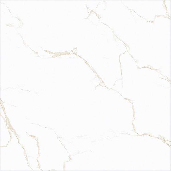 PGVT & GVT - 600 x 600 mm (24 x 24 inch) - fancy-statuario