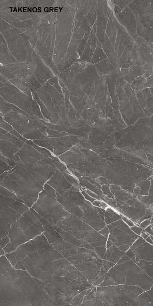 piso azulejo - 600 x 1200 mm (24 x 48 pulgadas) - TAKENOS GREY_F1