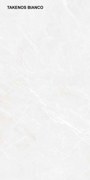 pavimento gres porcellanato - 600 x 1200 mm (24 x 48 pollici) - TAKENOS BIANCO_F1