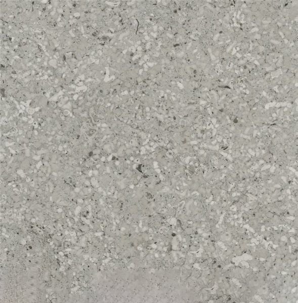 Transylvania Rice Limestone