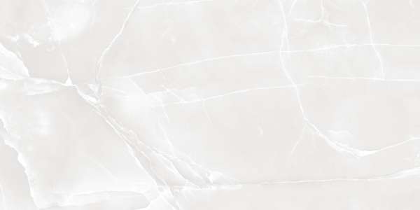 PGVT i GVT - 600x1200mm (24x48 cali) - CORAL ONYX BIANCO_01