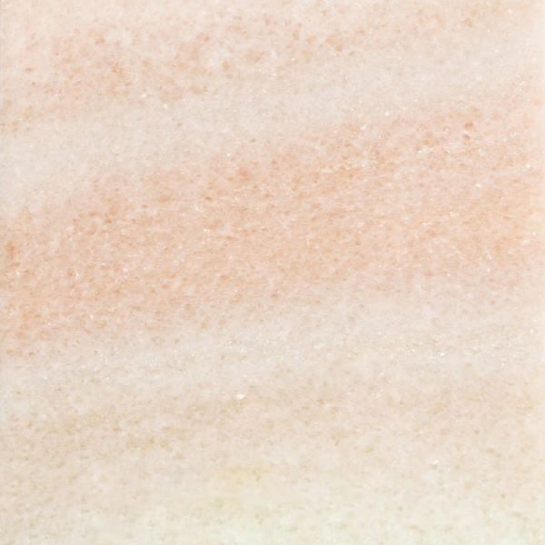 Soelker Rose