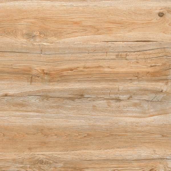 pavimento gres porcellanato - 600 x 600 mm (24 x 24 pollici) - ANGLO BROWN R1