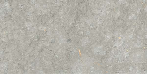 pavimento gres porcellanato - 800 x 1600 mm (32 x 64 pollici) - Prussian Natural