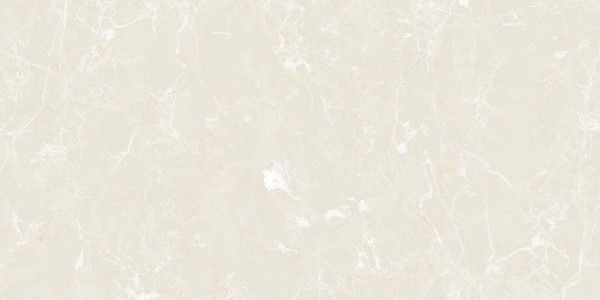 rajoles de porcellana vidriada - 600 x 1200 mm (24 x 48 polzades) - Emperador Light