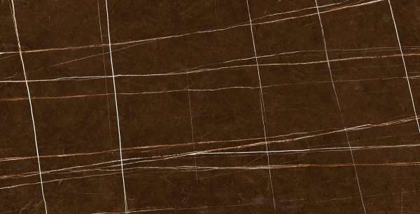 Glazed Porcelain Tiles - 300 x 600 mm ( 12 x 24 inch ) - FOREST_BROWN_R1